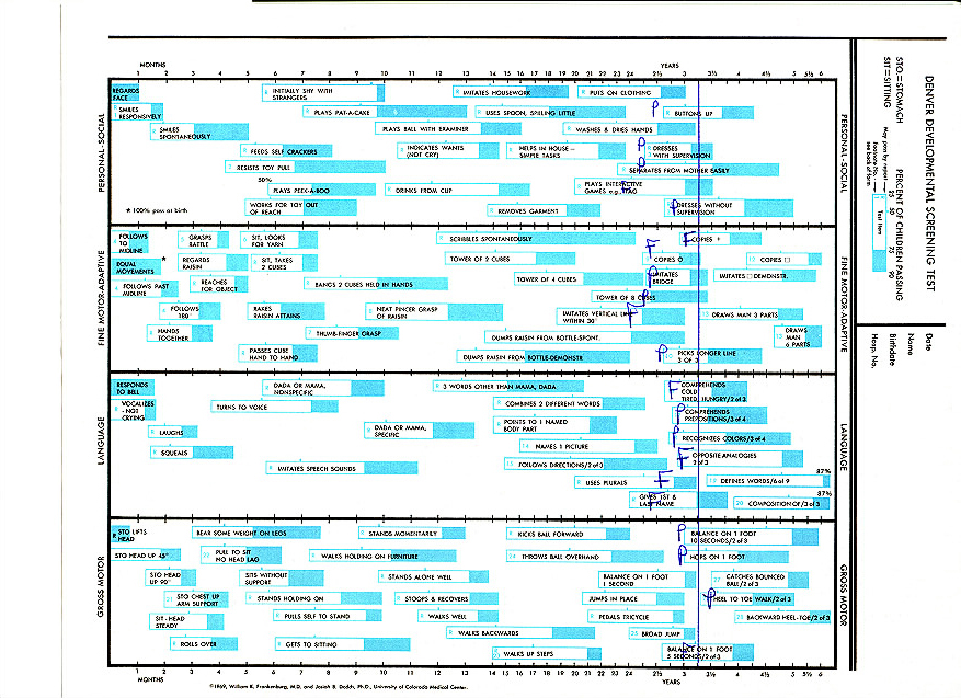 Denver Developmental Screening Test Sample